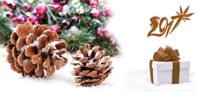 С новым годом! от магазина Шишкин подарок