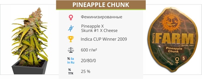 Pineapple Chunk