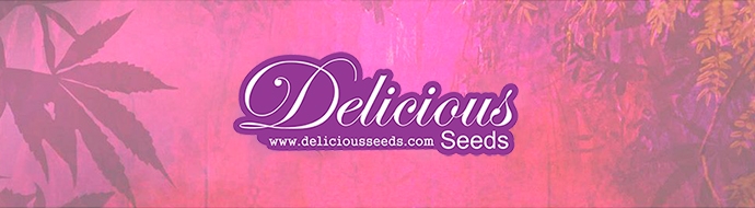 Delicious Seeds Новинка