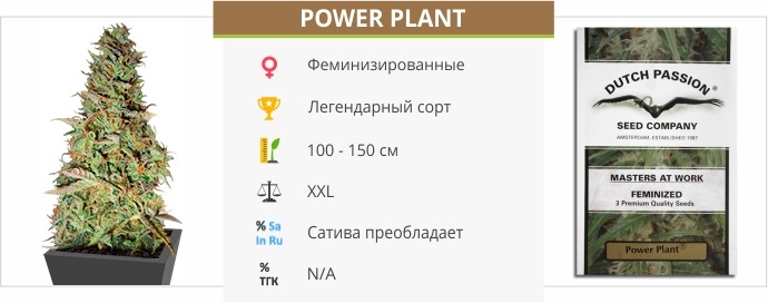 Power Plant