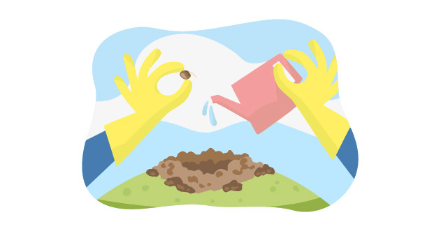 Посадка семени конопли