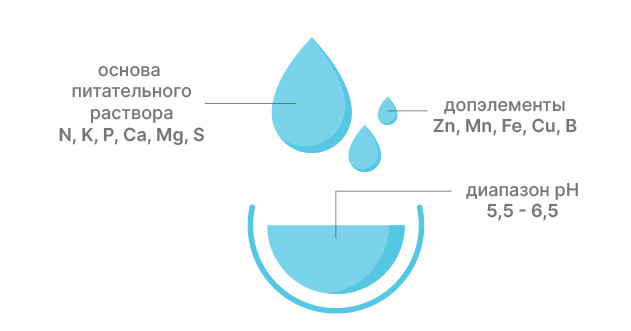 Рекомендации по выбору удобрений для гидропоники