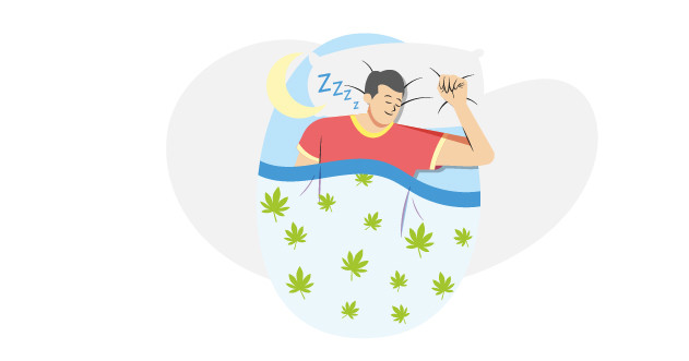 Сон как способ ослабить воздействие марихуаны