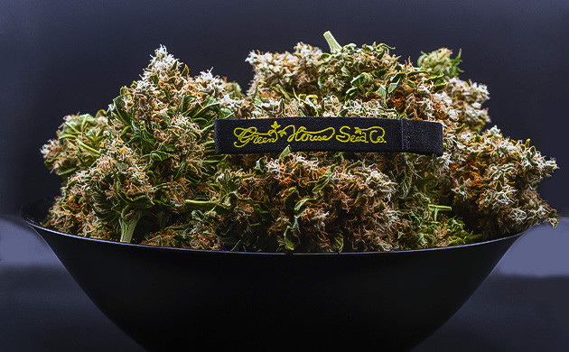 Сбор урожая конопли Собранный урожай