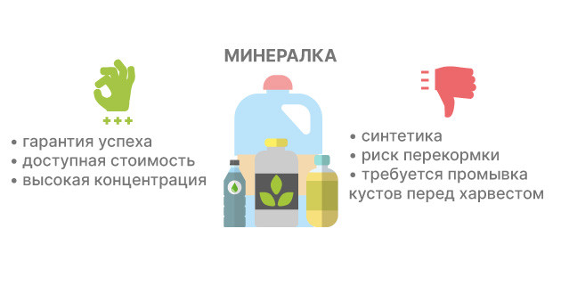 Минеральные удобрения для конопли: искусственный синтез Виды минеральных удобрений для каннабиса