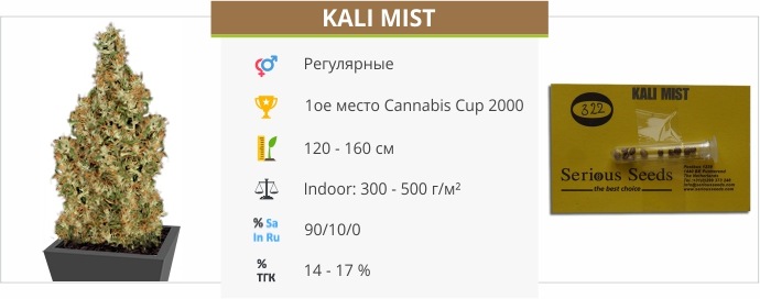 Kali Mist Kali Mist