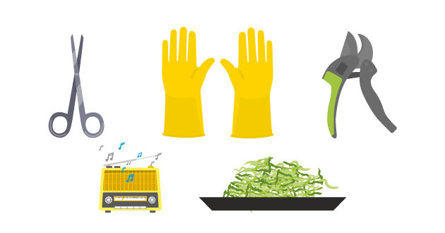 Тримминг ножницами: основные принципы Механический триммер: ускорение процесса