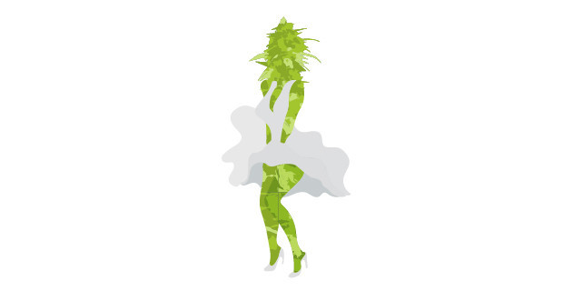 Феминизированные семена