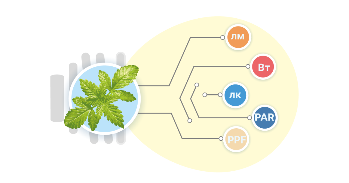 Световой поток
