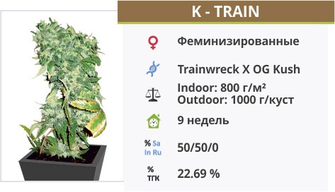K – Train