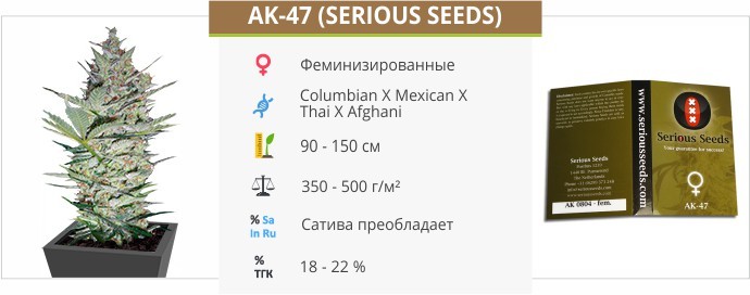 Сорт конопли Ak 47 Ak 47 fem от Serious Seeds