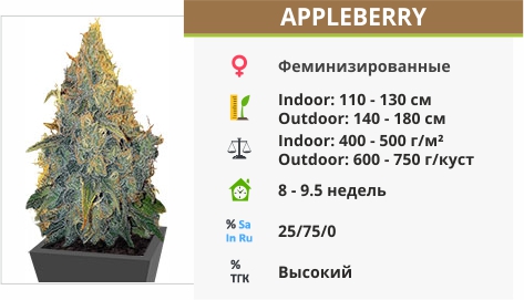 Appleberry Appleberry