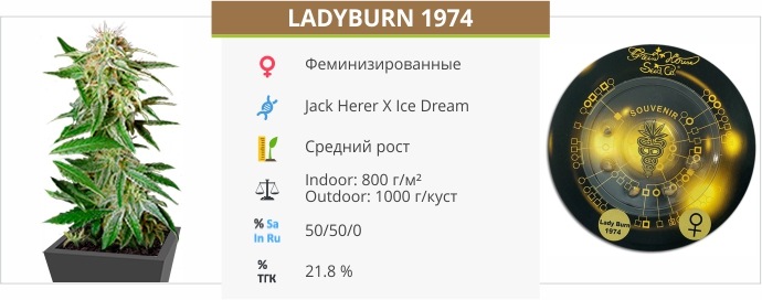 Ladyburn 1974