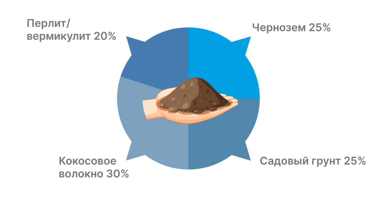 Состав почвосмеси: чернозем, садовый грунт, кокосовое волокно, перлит