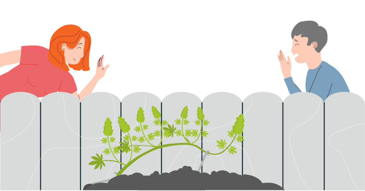 Не привлекать внимание соседей