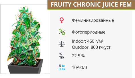 Fruity Chronic Jice fem от Delicious Seeds