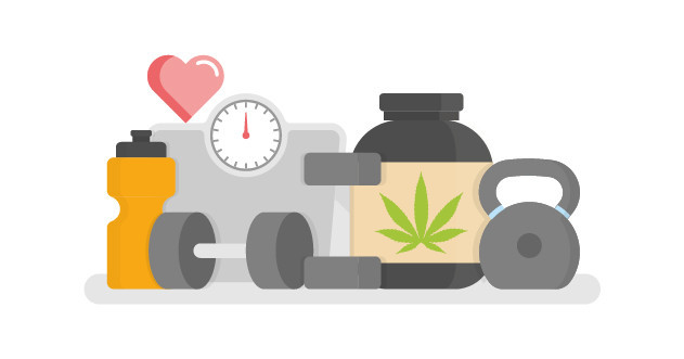 Применение конопляного протеина: набор массы и восстановление сил