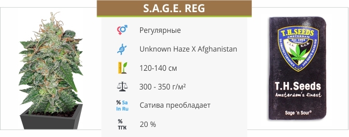 описание сорта S.A.G.E.