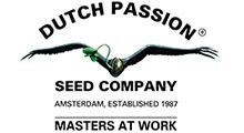 Dutch Passion сидбанк