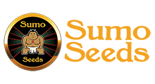 Sumo Seeds сидбанк