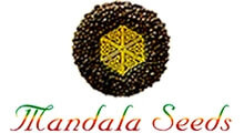 Mandala Seeds сидбанк