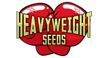 Heavyweight Seeds сидбанк