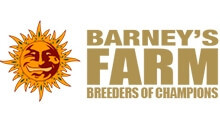 Barneys-Farm.jpg