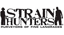 Strain Hunters сидбанк