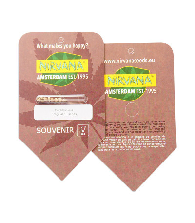 Bubblelicious reg (Nirvana Seeds) семена конопли