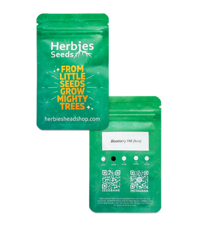 Blueberry Hill fem (Herbies Seeds) семена конопли