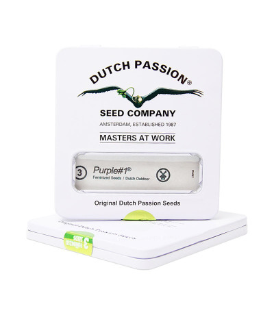 Купить семена конопли Purple #1 в оригинальной упаковке