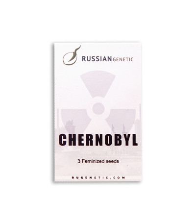 Chernobyl auto fem (Russian Genetic) семена конопли