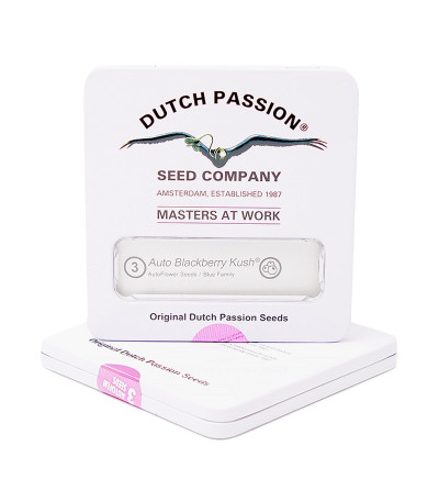 Семена конопли Auto Blackberry Kush в оригинальной упаковке