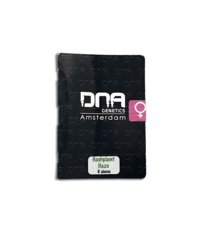 Hashplant Haze fem (DNA Genetics) семена конопли
