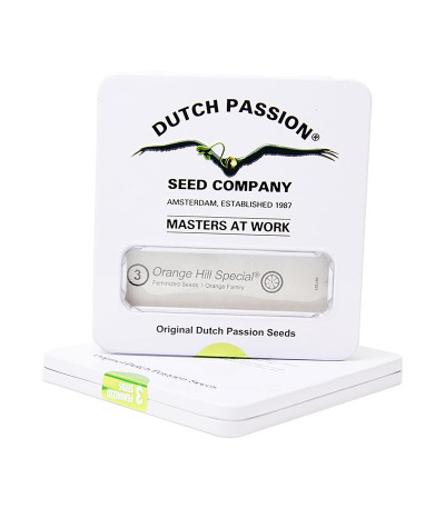 Orange Hill Special fem семена конопли