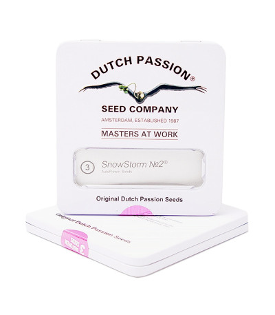 Snow Storm #2 (Dutch Passion) семена конопли