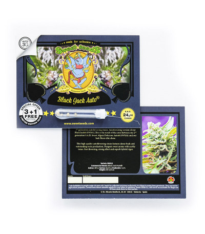 Black Jack Auto fem (Sweet Seeds) семена конопли