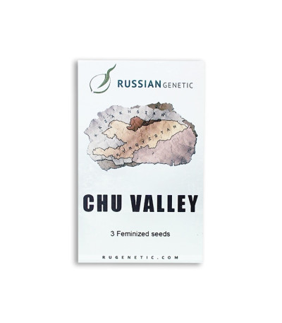 Chu Valley auto fem (Russian Genetic) семена конопли