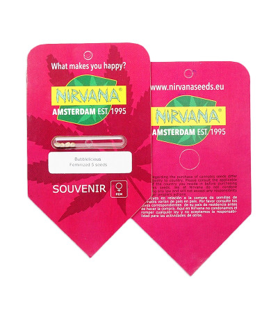 Bubblelicious fem (Nirvana Seeds) семена конопли