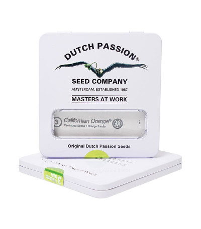 Californian Orange fem (Dutch Passion) семена конопли