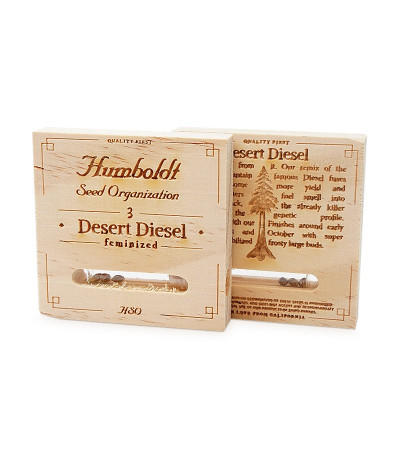 Desert Diesel fem семена конопли