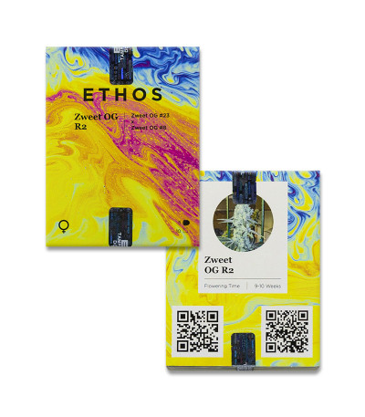 Zweet OG R2 fem (Ethos Genetics) семена конопли