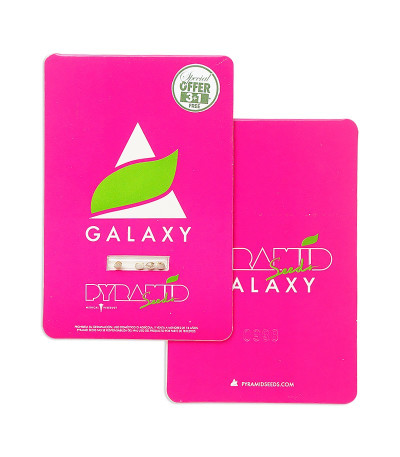 Galaxy fem (Pyramid Seeds) семена конопли