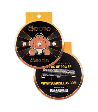 Impala 64 Haze Auto fem (Sumo Seeds) семена конопли