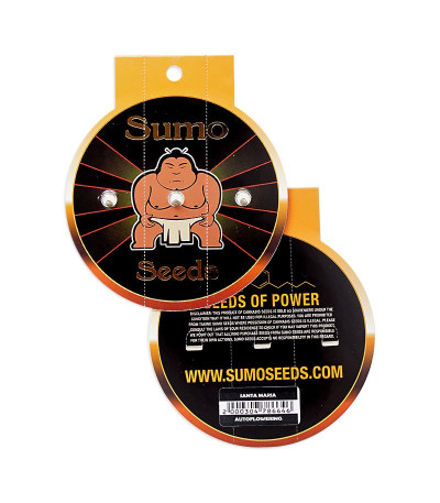 Santa Maria Auto fem (Sumo Seeds) семена конопли
