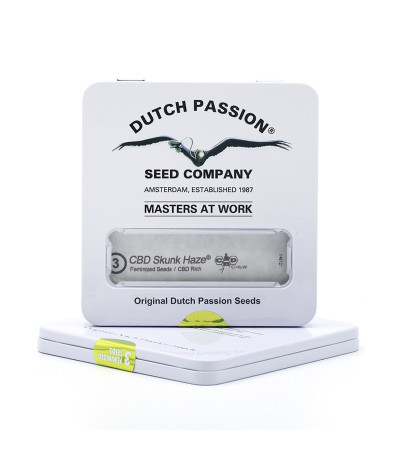 CBD Skunk Haze fem (Dutch Passion) семена конопли