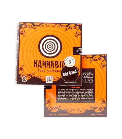 Big Band fem семена конопли