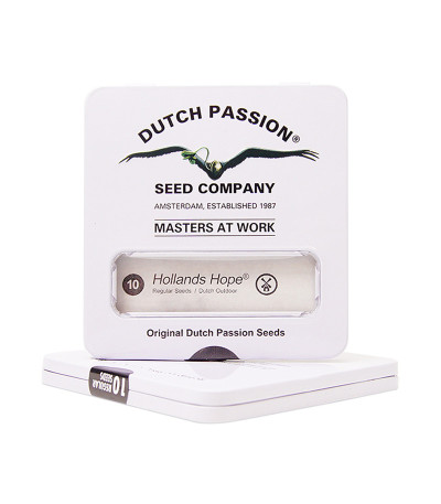 Hollands Hope reg (Dutch Passion) семена конопли