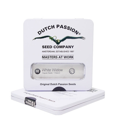 Семена каннабиса White Widow regular в оригинальной упаковке