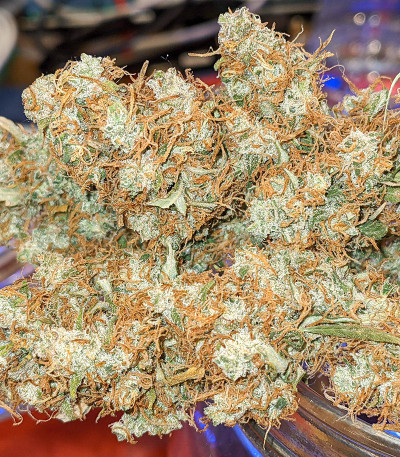 Original Auto Sour Diesel fem (FastBuds) семена конопли